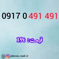0917.0.491.491