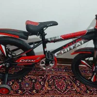 دوچرخه۲۰رینگ اسپرت