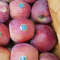 عرضه سیب صادراتی سمیرم درشیراز(طلایه)