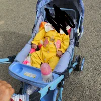 کالسکه