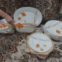 ظروف پذیرایی اکروپال