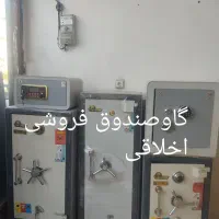 جااسلحه شکاری در تمامی اندازه nopelo