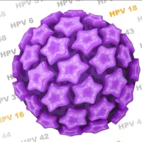 پیشگیری،تشخیص و درمان Hpv تحت نظر متخصص پوست