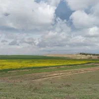 ایده فیلمنامه