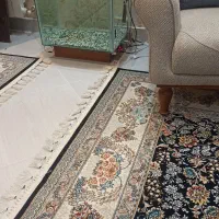 فروش آکواریوم به علت کمبود جا