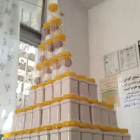 نمک اصل معدنی نمک صورتی برای پخت و پز و...