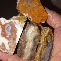 پک اقتصادی شجر و عقیق|جواهرات|تهران, باشگاه نفت|دیوار