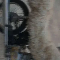 موتور 125|موتورسیکلت|پیپ, |دیوار