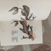 کتاب انگلیسی|کتاب و مجله ادبی|تربت جام, علوی|دیوار