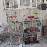 قفس با لوازم فول اپشن