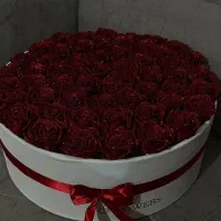 باکس|گل مصنوعی|خمین, |دیوار