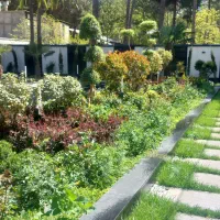 آبیاری قطره ای ،مه پاش و گرین وال