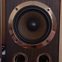 اسپیکر خانگی ونوس