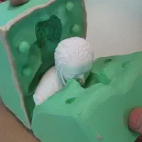 اموزش مجسمه پلی استر پتینه قالب سازی سیلیکون|خدمات آموزشی|کرمان, |دیوار