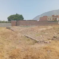 زمین. اول کمر بندی گالیکش. پاین محمود اباد|فروش زمین و ملک کلنگی|گالیکش, |دیوار