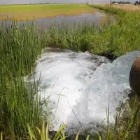 فروش یک ساعت آب زراعی