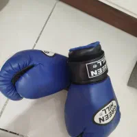 دست کش بوکس