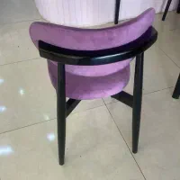 زیرکارزن پاسنگ سزار جلو مبلی نهارخوری وغیره
