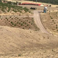 زمین ۱۰۰۰متری شهرک پاسارگاد(جاده امامزاده اباذر)|فروش زمین و ملک کلنگی|قزوین, |دیوار