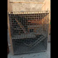 قفس عروس هلندی طوطی|لوازم جانبی حیوانات|رباط‌کریم, نصیرشهر|دیوار