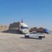 کاه نیشکر ر مقویتر بصرفه تر از کاه گندم|حیوانات مزرعه|فردیس, منظریه|دیوار