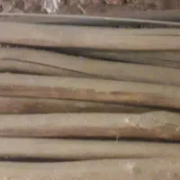 چوب|خدمات باغبانی و درختکاری|کرمان, |دیوار