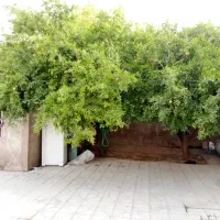 منزل ویلایی قصر قمشه|فروش خانه و ویلا|شیراز, شهرک قمشه|دیوار