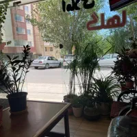 فروش-زمین-218-متری-مناسب-ساخت-وساز