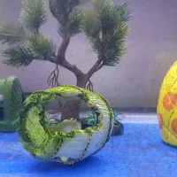 اکواریوم ماهی|ماهی|تهران, امیریه|دیوار