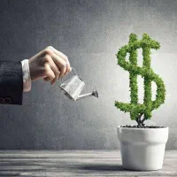 شراکت وسرمایه گذاری میکنم