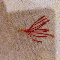 زعفران وخشکبار وزرشک....|خوردنی و آشامیدنی|نیمبلوک, |دیوار