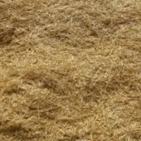 فروش کاه گندم کمباین در روستای شمسیر