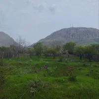 باغ ۲۰۶۵ متری در کرند|فروش زمین و ملک کلنگی|دالاهو, |دیوار