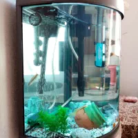 آکواریوم نیم دایره ماهیران|ماهی|شهریار, شهرک وائین|دیوار