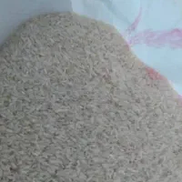 برنج چمپا شوشتر