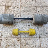 هالتر ودمبل بتنی