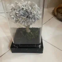 گل هورتانسیا جاودان