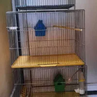 قفس پرنده