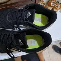 کتونی|کیف، کفش، کمربند|رباط‌کریم, نصیرشهر|دیوار