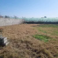 ملک بافت در نزدیکی دریا چپکرود