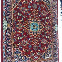 جفت پشتی شادسر