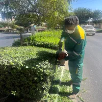 انجام کلیه امور باغبانی در کرج|خدمات باغبانی و درختکاری|کرج, فاز ۴ مهرشهر|دیوار