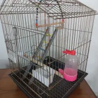 قفس پرنده فانتزی