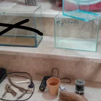 اکواریوم سامپ دار ریملس
