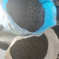 مویز درجه یک انگور شرابی