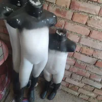 مانکن و ویترین مغازه