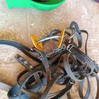 لوازم کامل سوارکاری