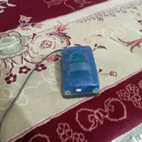 آکواریوم|ماهی|تربت جام, میان جام|دیوار