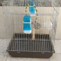 قفس پرنده