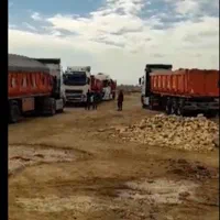 عمدهفروشی کود گاوی انفجار باروری باغ و گلخانه|خدمات باغبانی و درختکاری|رودان, |دیوار